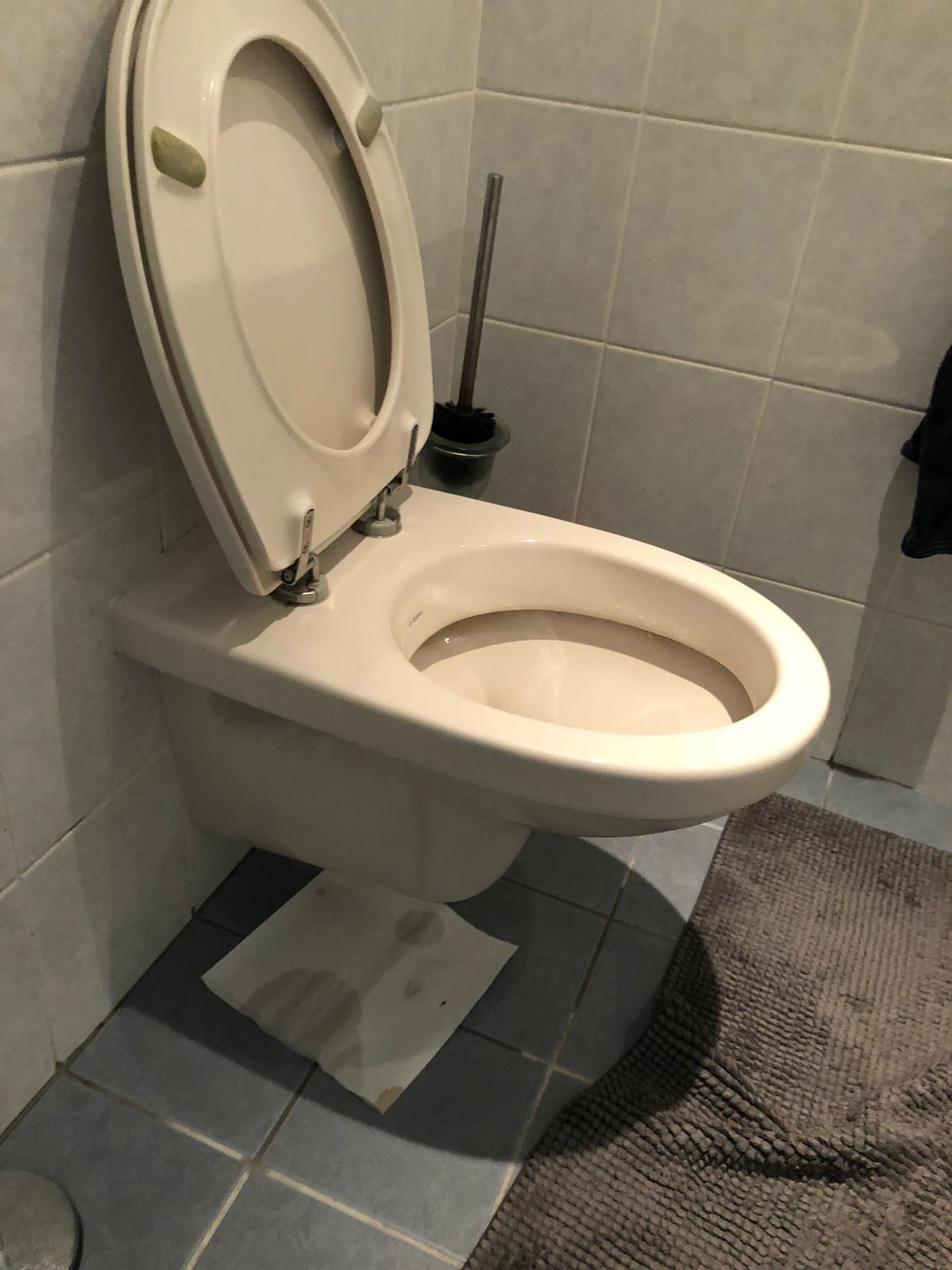 hangtoilet Roosendaal